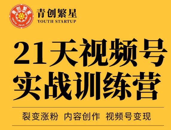 张萌21天视频号实战训练营，裂变涨粉、内容创作、视频号变现 价值298元-网创资源吧