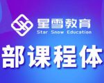 星雪教育淘系高级班，更全的运营提升方案，零基础由浅入深，店铺最新玩法-网创资源吧