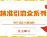 闲鱼精准引流全系列课程，每天引流100精准粉【视频课程】-网创资源吧