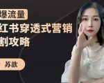 苏歆：小红书穿透式营销收割攻略，引爆流量，助你玩转小红书-网创资源吧