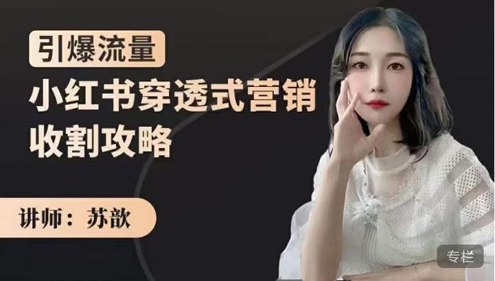 苏歆：小红书穿透式营销收割攻略，引爆流量，助你玩转小红书-网创资源吧