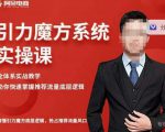阿呆-引力魔方系统实操课，全体系实战教学，助你快速掌握推荐流量底层逻辑-网创资源吧