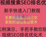 宋老师·短视频搜索SEO优化，教你10分钟创作一个短视频，三天排名上第一-网创资源吧