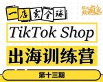 TikTokShop出海训练营（第十三期），打开全球流量新思维，出海抢占全球新流量，一店卖全球-网创资源吧