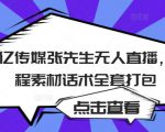 聚亿传媒张先生无人直播,教程素材话术全套打包-网创资源吧