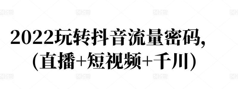 2022玩转抖音流量密码，(直播+短视频+千川)-网创资源吧