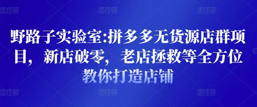 野路子实验室:拼多多无货源店群项目，新店破零，老店拯救等全方位教你打造店铺-网创资源吧