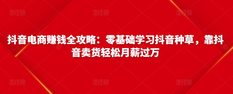 抖音电商赚钱全攻略：零基础学习抖音种草，靠抖音卖货轻松月薪过万-网创资源吧