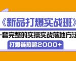 凌童《新品打爆实战班》,一套完整的实操实战落地方法,打爆链接超2000+(28节课)-网创资源吧