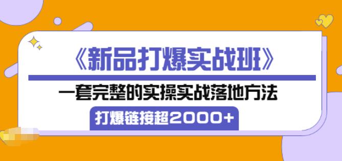 凌童《新品打爆实战班》,一套完整的实操实战落地方法，打爆链接超2000+（28节课)-网创资源吧
