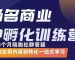 杨名商业IP孵化训练营，从商业到内容到转化一站式学 价值5980元-网创资源吧