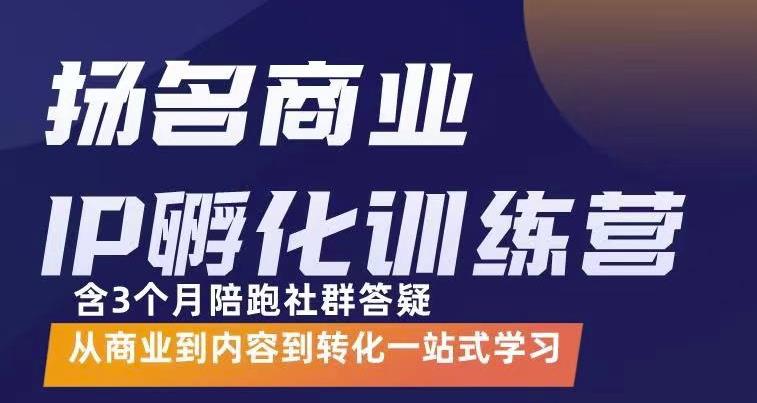 杨名商业IP孵化训练营，从商业到内容到转化一站式学 价值5980元-网创资源吧
