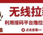 最新接码无限拉新项目,利用接码平台赚拉新平台差价,轻松日赚500+-网创资源吧