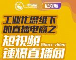 尼克派·工业化思维下的直播电商之短视频锤爆直播间,听话照做执行爆单-网创资源吧