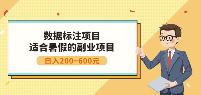 副业赚钱：人工智能数据标注项目，简单易上手，小白也能日入200+-网创资源吧