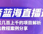 抖音最新蓝海直播玩法,3分钟赚30元,一天轻松1000+,只要你去直播就行【详细玩法教程】-网创资源吧