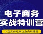 民赛电气内部出品：电子商务实战特训营，全方位带你入门电商，308种方式玩转电商-网创资源吧