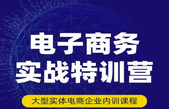 民赛电气内部出品：电子商务实战特训营，全方位带你入门电商，308种方式玩转电商-网创资源吧