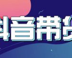 抖音直播带货入门必学教程，教快速上手抖音直播带货-网创资源吧