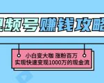 玩转微信视频号赚钱：小白变大咖涨粉百万实现快速变现1000万的现金流-网创资源吧
