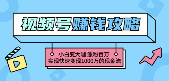 玩转微信视频号赚钱：小白变大咖涨粉百万实现快速变现1000万的现金流-网创资源吧