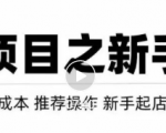 虚拟项目快速起店模式，0成本打造月入几万虚拟店铺！-网创资源吧