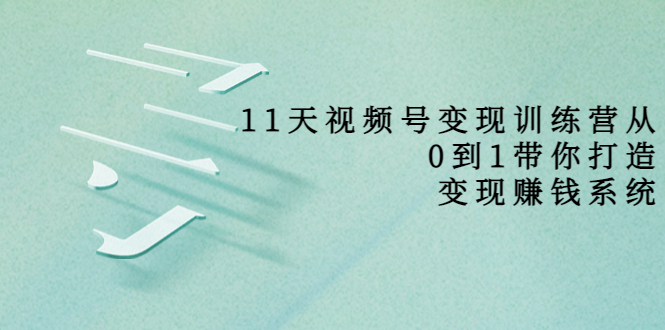 11天视频号变现训练营，从0到1打造变现赚钱系统（价值398元）-网创资源吧