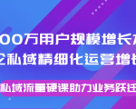 8000万用户规模增长方法论私域精细化运营增长，私域流量硬课助力业务跃迁-网创资源吧
