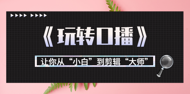 月营业额700万+大佬教您《玩转口播》让你从“小白”到剪辑“大师”-网创资源吧