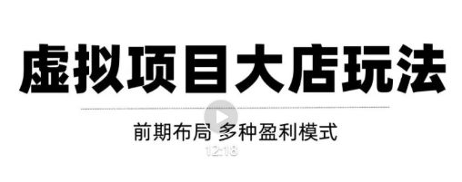 虚拟项目月入几万大店玩法分享，多店操作利润倍增（快速起店盈利）-网创资源吧