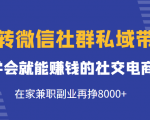 玩转微信社群私域带货,学会就能赚钱的社交电商,在家兼职副业再挣8000+-网创资源吧