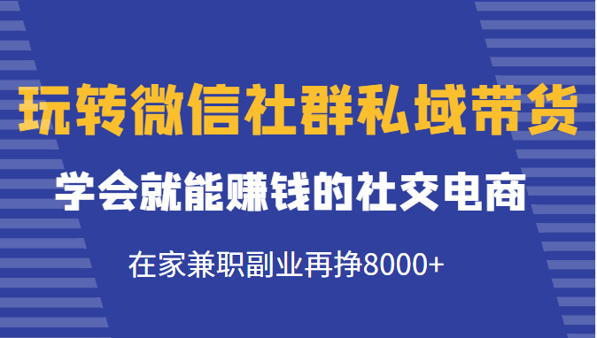 玩转微信社群私域带货，学会就能赚钱的社交电商，在家兼职副业再挣8000+-网创资源吧
