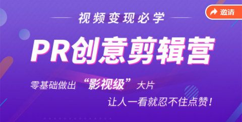 抖音赚钱必学的PR创意剪辑：零基础做出“影视级”大片，让人一看就忍不住为你点赞！-网创资源吧