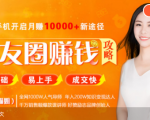 全网千万人气导师亲授:零基础/易上手的朋友圈赚钱攻略,让你轻松月入过万-网创资源吧