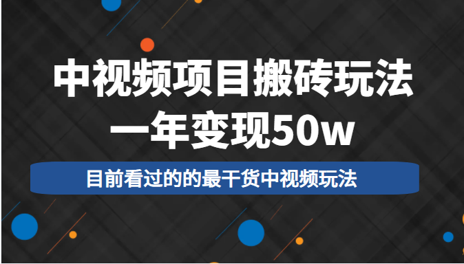 中视频项目搬砖玩法，一年变现50w，目前看过的的最干货中视频玩法-网创资源吧