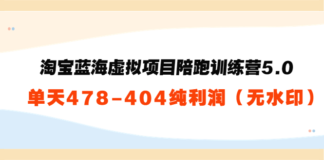 淘宝蓝海虚拟项目陪跑训练营5.0：单天478纯利润-网创资源吧