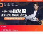 0粉0作品自然流正价起号及稳号全教程，专业自然流起号机构流程化教学（价值2980元）-网创资源吧