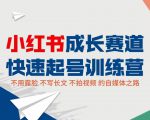 小红书成长赛道快速起号训练营,不露脸不写长文不拍视频,0粉丝冷启动变现之路-网创资源吧