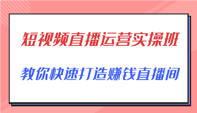短视频直播运营实操班，直播带货精细化运营实操，教你快速打造赚钱直播间-网创资源吧