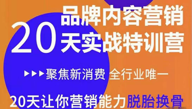 《内容营销实操特训营》20天让你营销能力脱胎换骨（价值3999）-网创资源吧