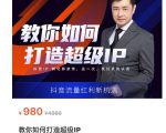 教你如何打造超级IP,抖音流量红利新机遇(价值980元)-网创资源吧