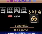 百度网盘无限扩容技术,外面卖399的,无论自己用还是用做引流都可以-网创资源吧