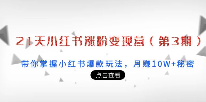 21天小红书涨粉变现营（第3期）：带你掌握小红书爆款玩法，月赚10W+秘密-网创资源吧