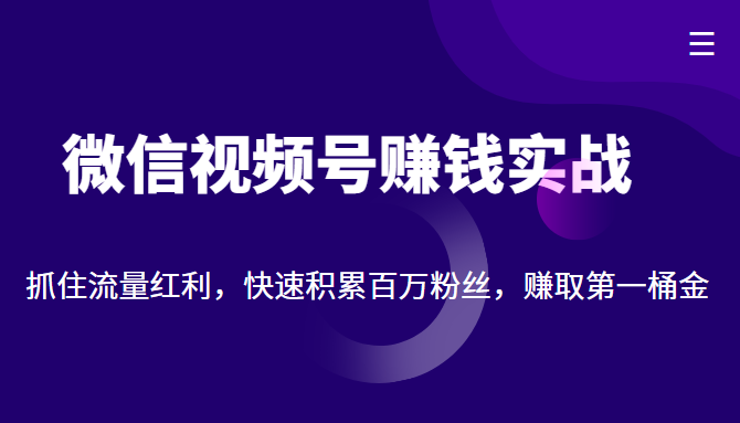 微信视频号赚钱实战：抓住流量红利，快速积累百万粉丝，赚取你的第一桶金-网创资源吧