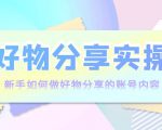 好物分享实操:新手如何做好物分享的账号内容,实操教学-网创资源吧