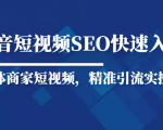 抖音短视频Seo搜索排名优化新手快速入门教程,实体商家短视频,精准引流实操课-网创资源吧