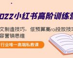 2022小红书高阶训练营：爆文制造技巧，低预算高roi投放技巧，内容营销思维-网创资源吧