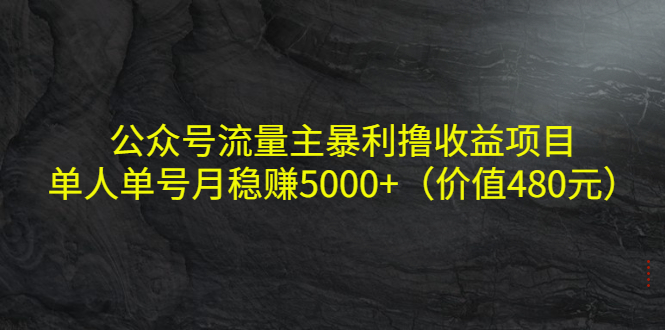 公众号流量主暴利撸收益项目，单人单号月稳赚5000+（价值480元）-网创资源吧