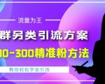 价值888的QQ群另类引流方案,半自动操作日200~300精准粉方法【视频教程】-网创资源吧