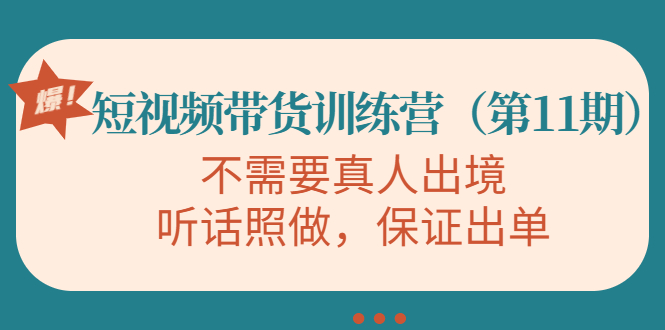 视频带货训练营，不需要真人出境，听话照做，保证出单（第11期）-网创资源吧